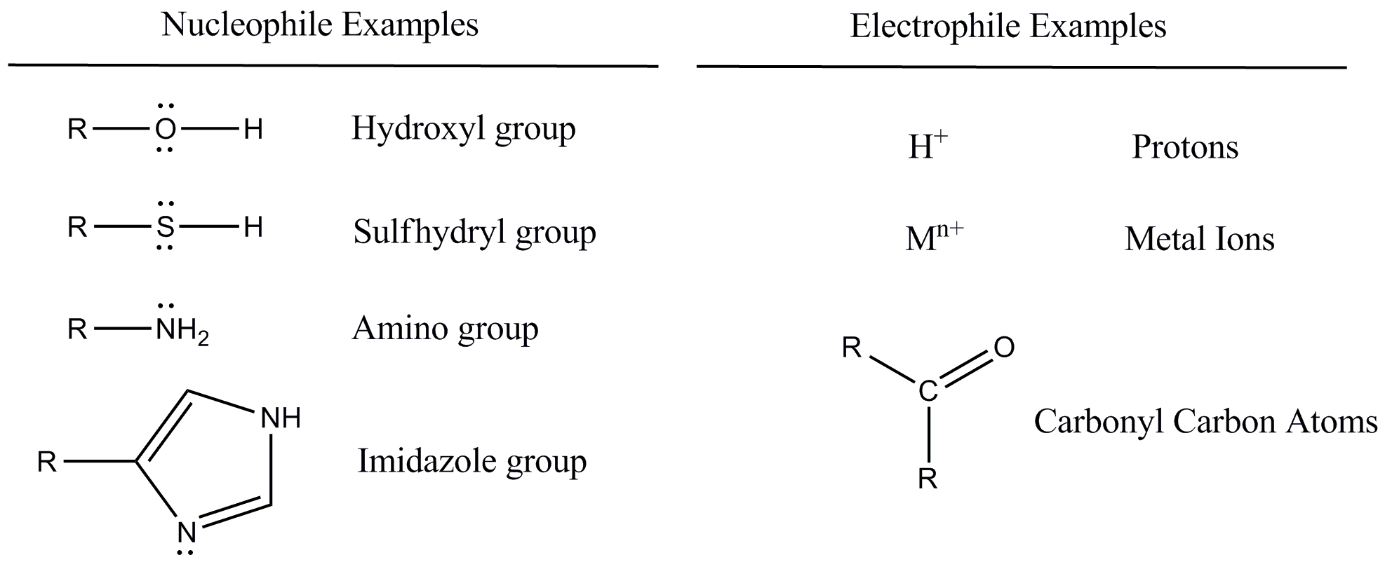 Define Nucleophile And Electrophile With Example Nucleophile Vs Electrophile